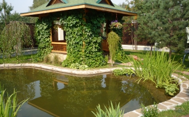 Садовый водоём